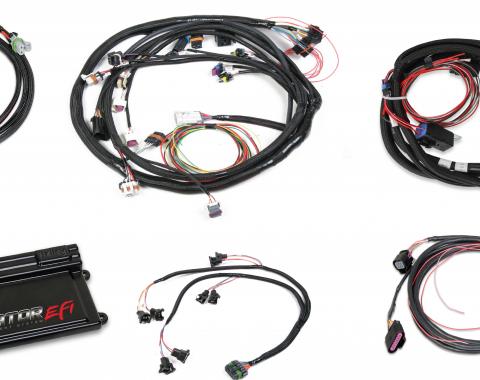 Holley EFI Dominator EFI Kit, LS2 Main Harness w/ Trans and DBW with EV1 Injector Harnesses 550-660