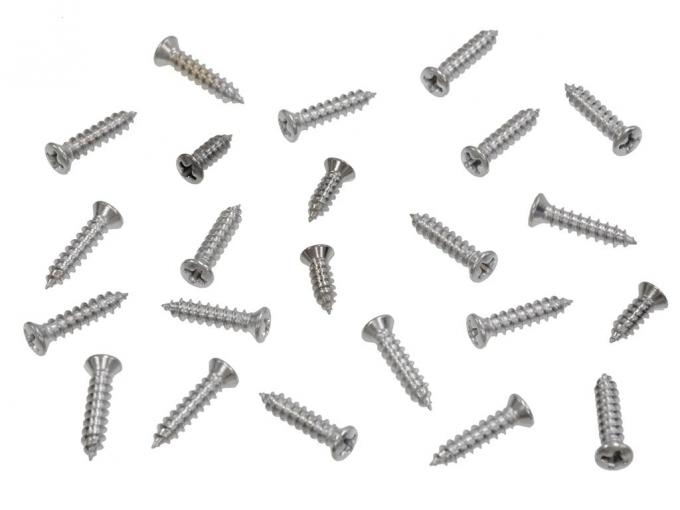 63-67 Hardtop Moulding Screws